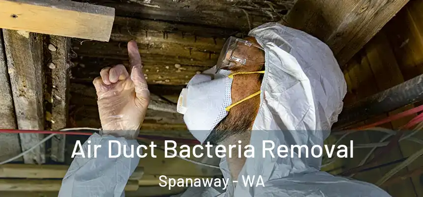  Air Duct Bacteria Removal Spanaway - WA