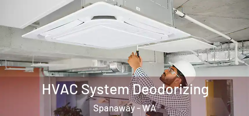  HVAC System Deodorizing Spanaway - WA