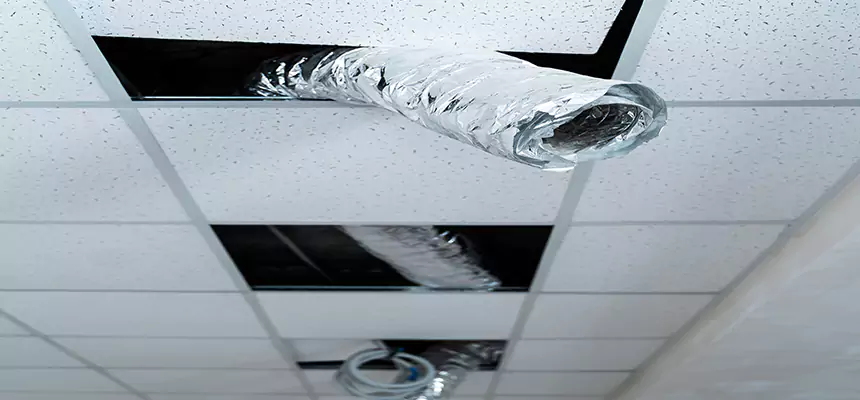 Affordable HVAC Sanitizing After Pest Removal in Spanaway