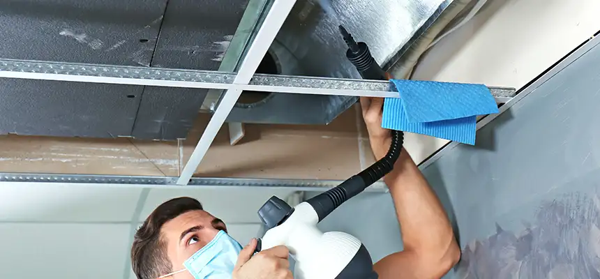 Our Air Duct Rodent Removal Services in Spanaway, WA