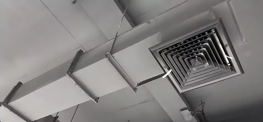 Our Rodent Droppings In Vents Services in Spanaway, WA