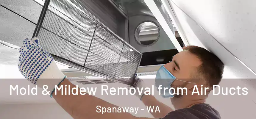 Mold & Mildew Removal from Air Ducts Spanaway - WA