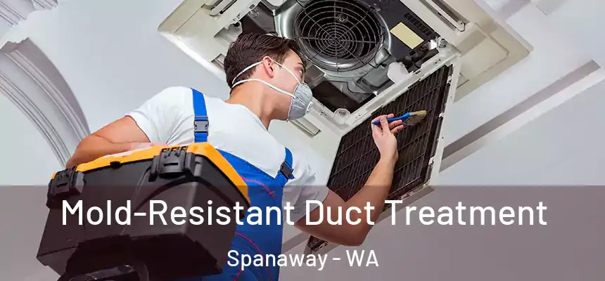  Mold-Resistant Duct Treatment Spanaway - WA
