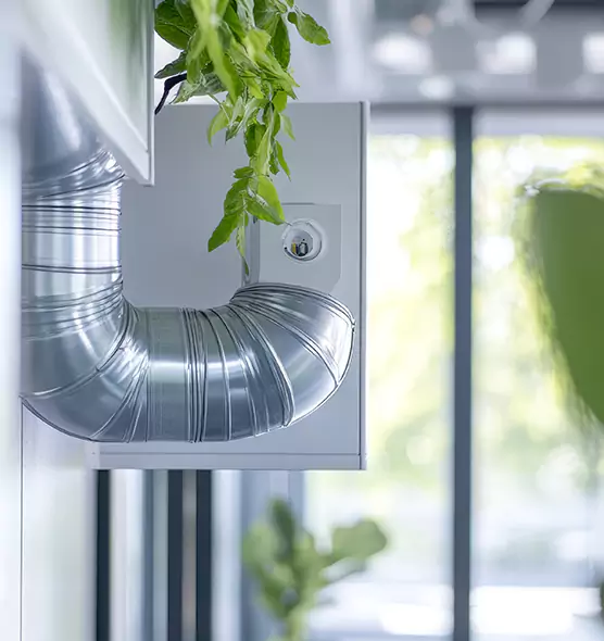 Professional Eco-Safe Dryer Vent Cleaning in Spanaway, WA