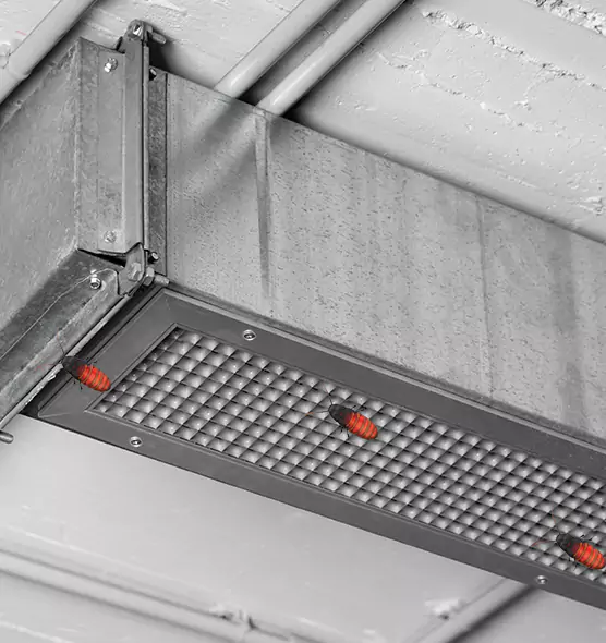 Affordable Insect Removal from Air Ducts in Spanaway, WA