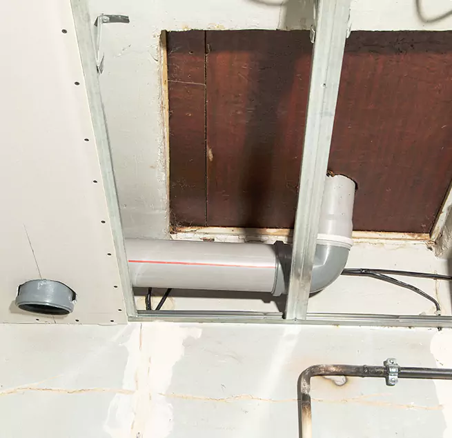 Why Homeowners & Businesses Trust Us in Spanaway, WA?