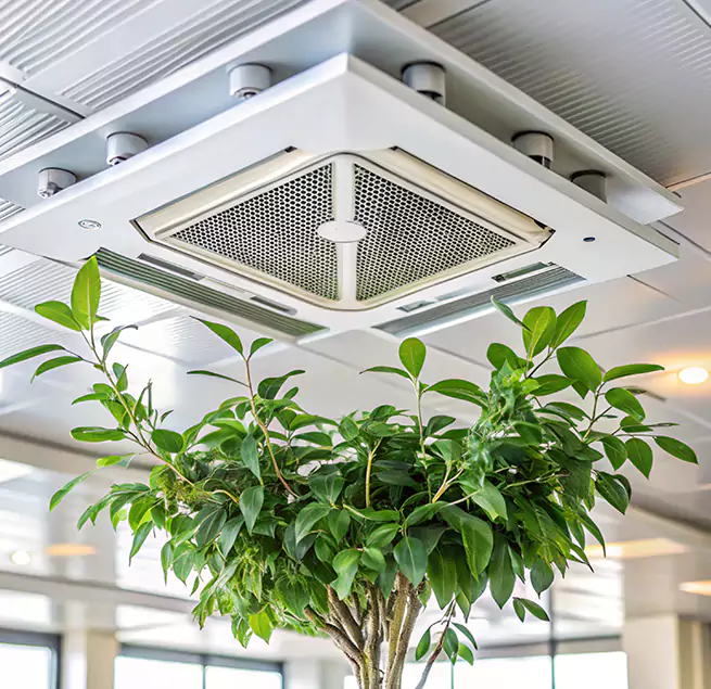 Why Homeowners & Businesses Trust Us in Spanaway, WA