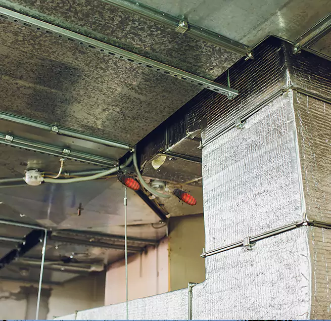 Why Homeowners & Businesses Trust Us Spanaway, WA?