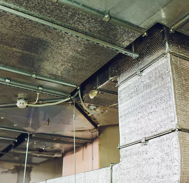 Why Homeowners & Businesses Trust Us in Spanaway, WA?