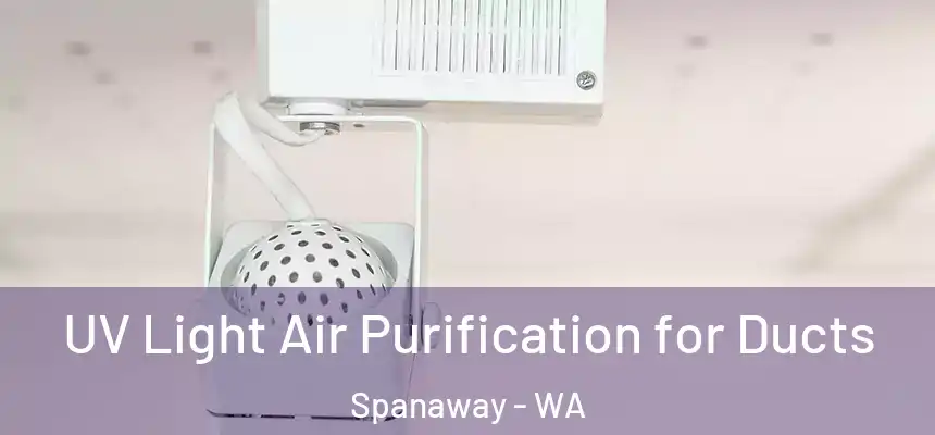  UV Light Air Purification for Ducts Spanaway - WA